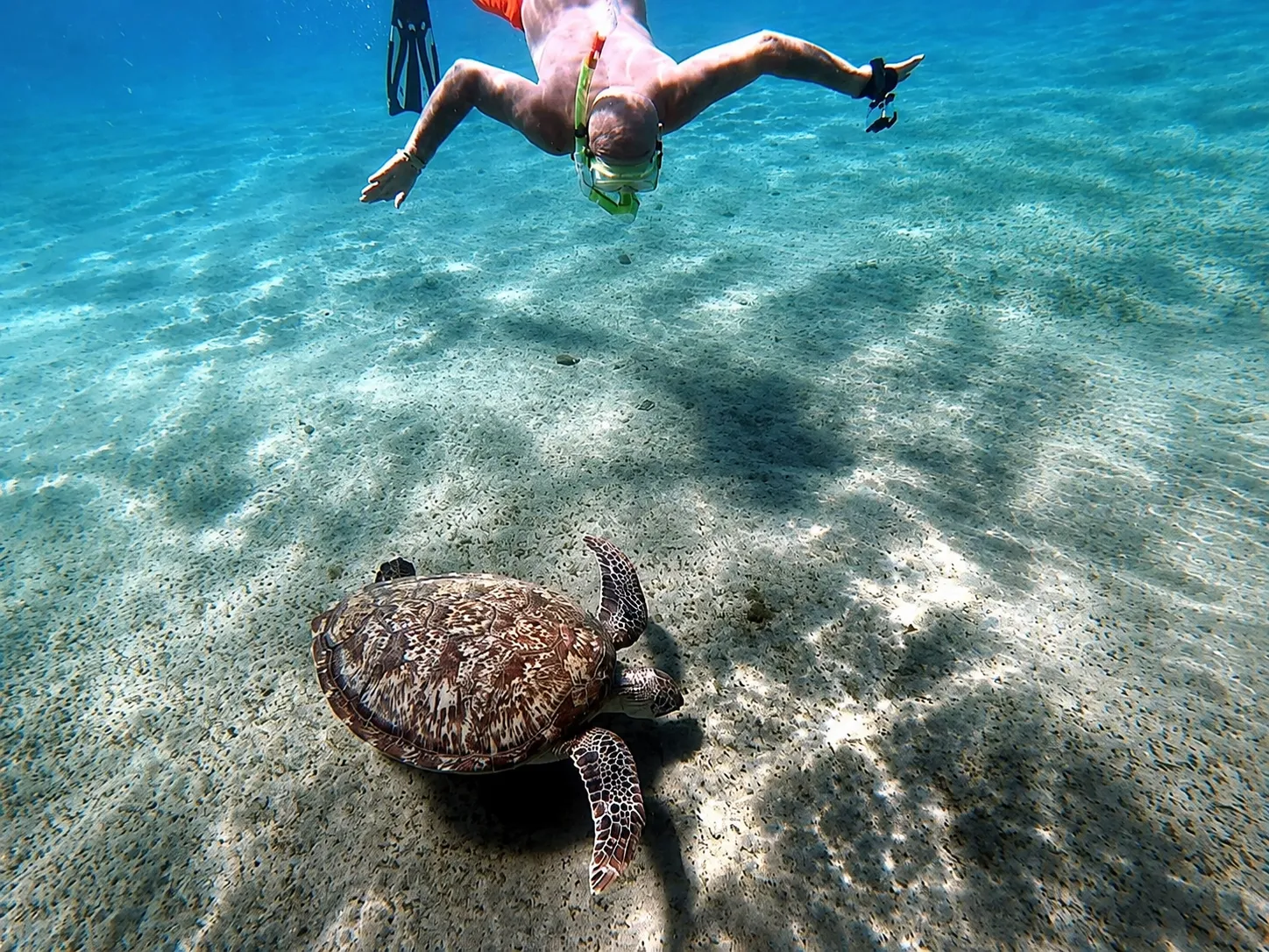 Crystal-clear turquoise water off Abu Dabab