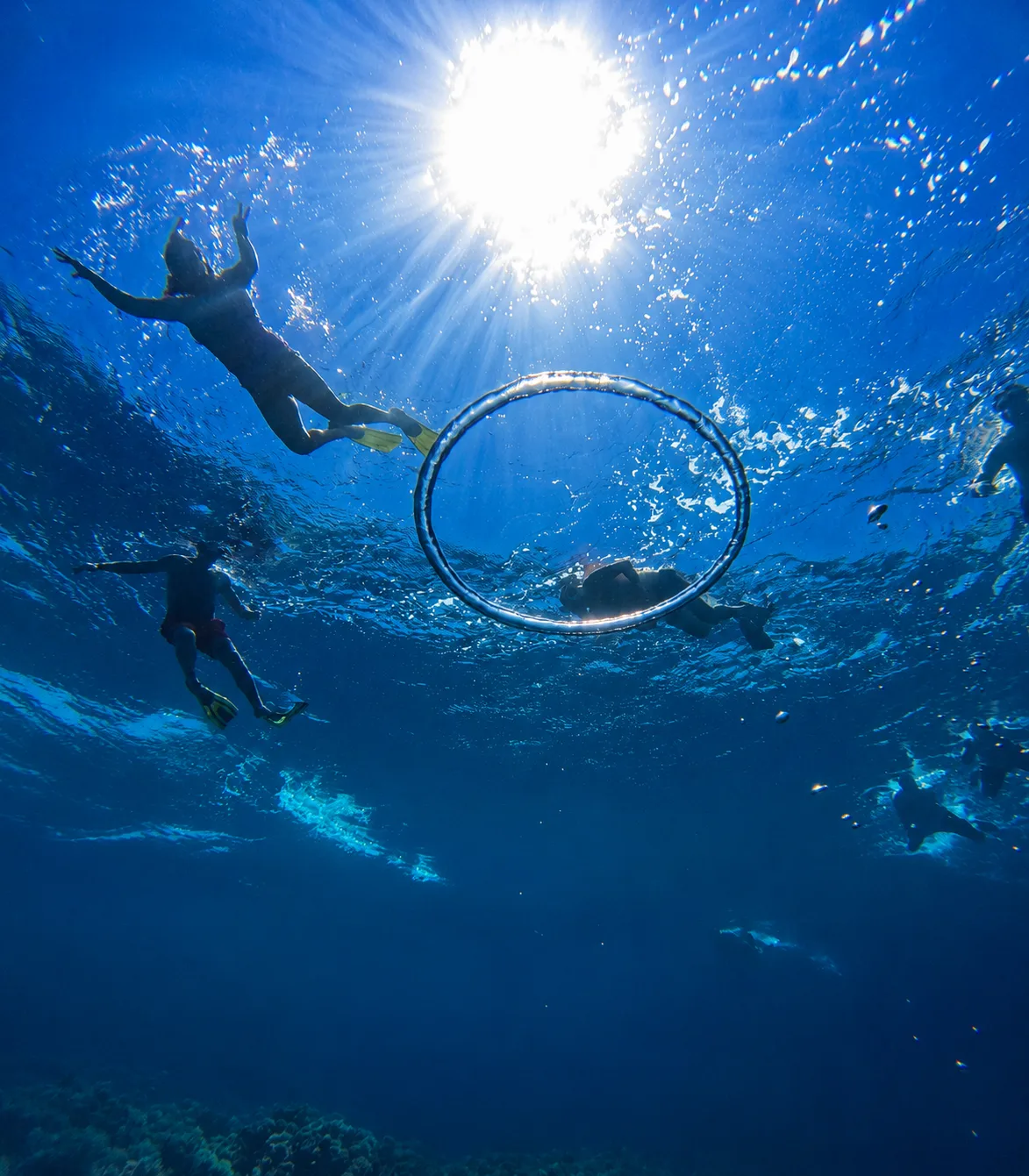 Snorkelling group playing in the open water at Orange Bay