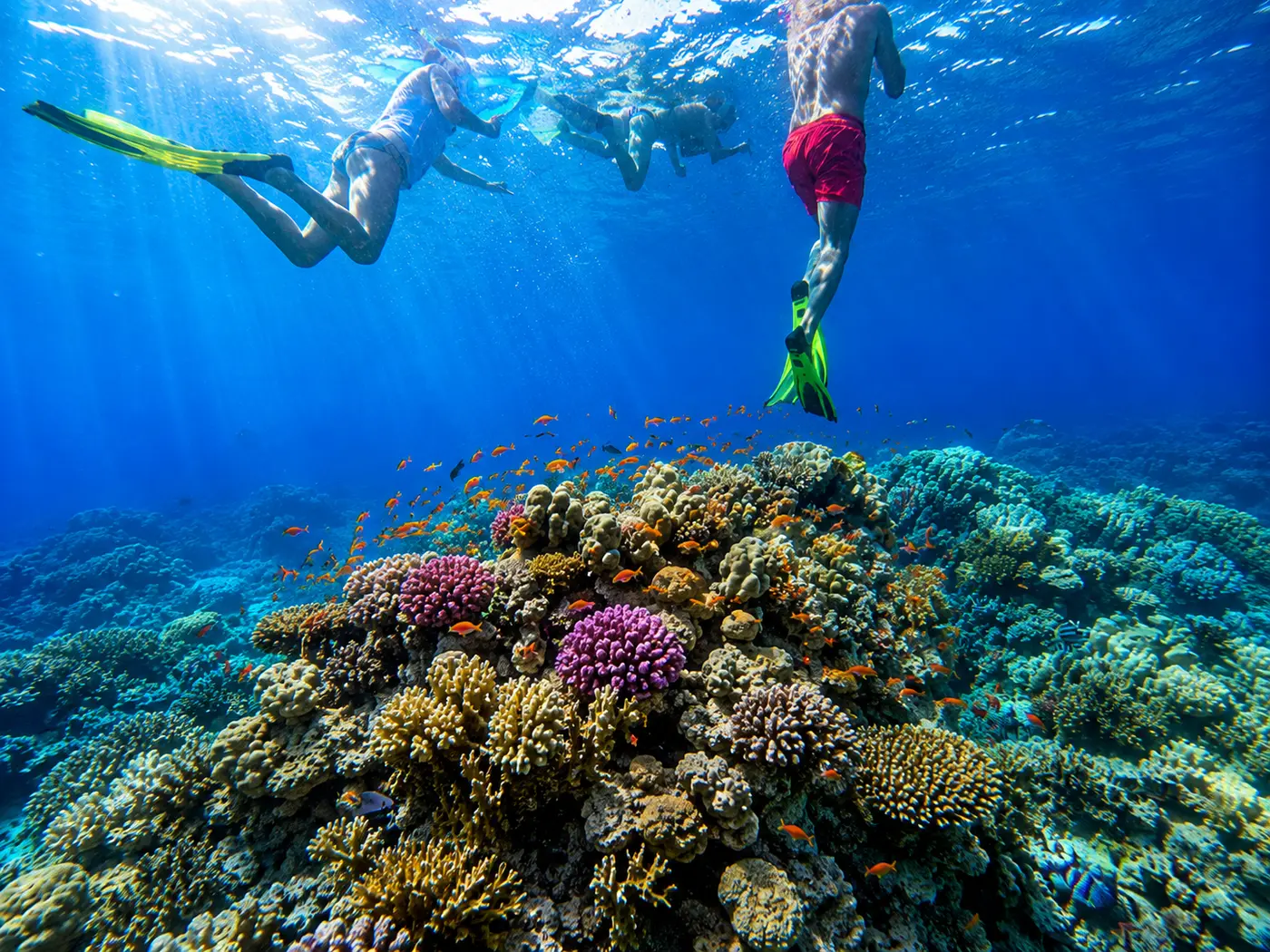 A snorkelling group above a vividly coloured coral reef